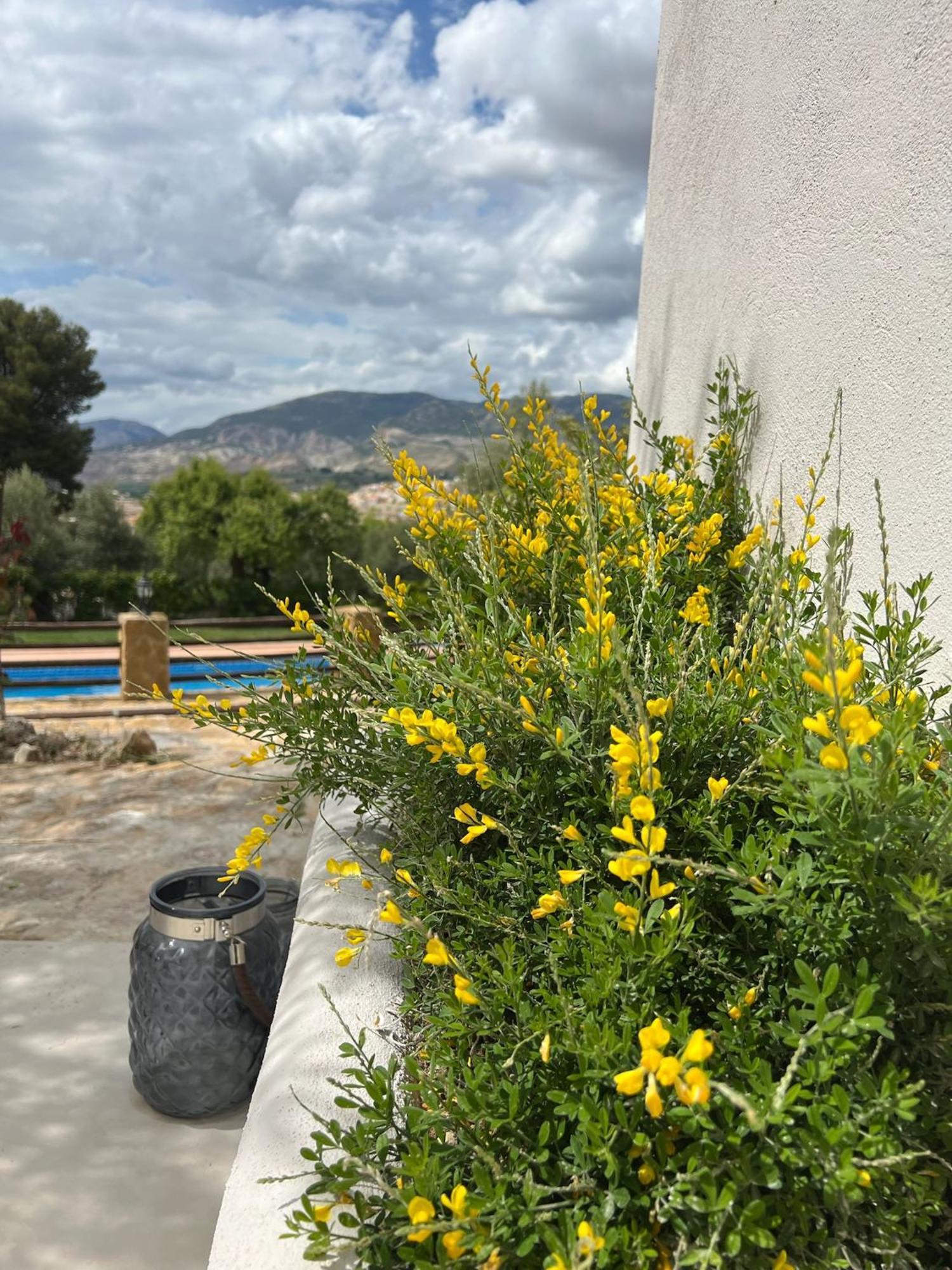 Lenta Suites Pozo Alcón Εξωτερικό φωτογραφία