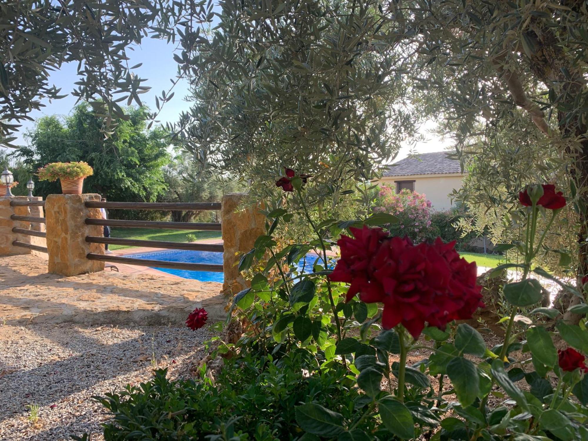 Lenta Suites Pozo Alcón Εξωτερικό φωτογραφία